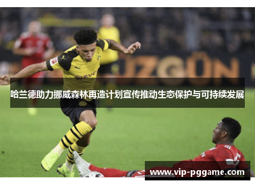 哈兰德助力挪威森林再造计划宣传推动生态保护与可持续发展