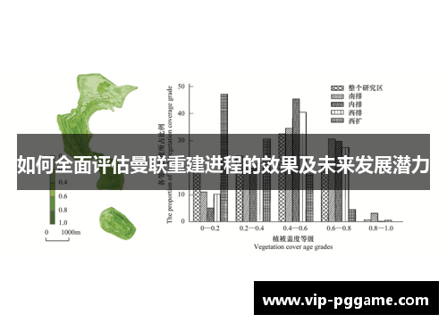 如何全面评估曼联重建进程的效果及未来发展潜力