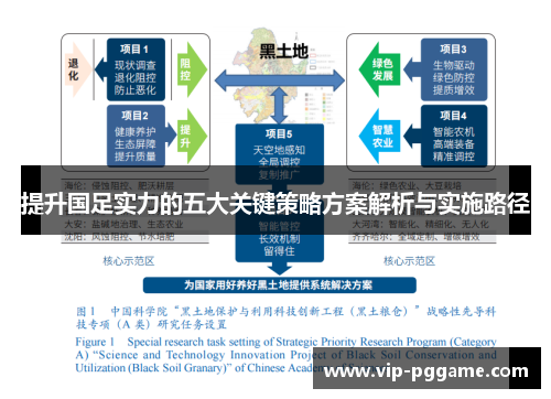 提升国足实力的五大关键策略方案解析与实施路径