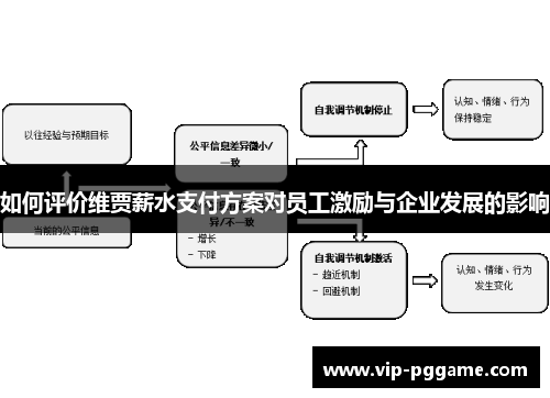 如何评价维贾薪水支付方案对员工激励与企业发展的影响
