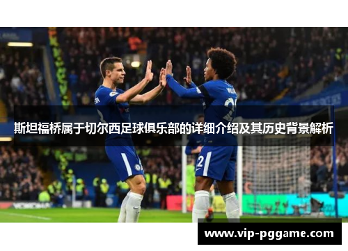 斯坦福桥属于切尔西足球俱乐部的详细介绍及其历史背景解析