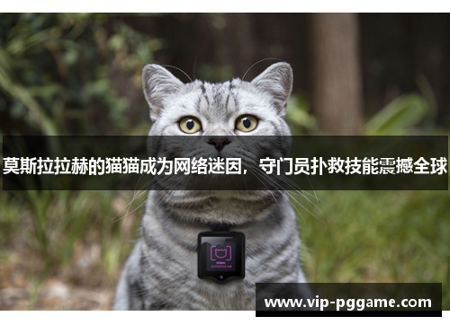 莫斯拉拉赫的猫猫成为网络迷因，守门员扑救技能震撼全球